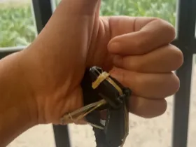 6th finger