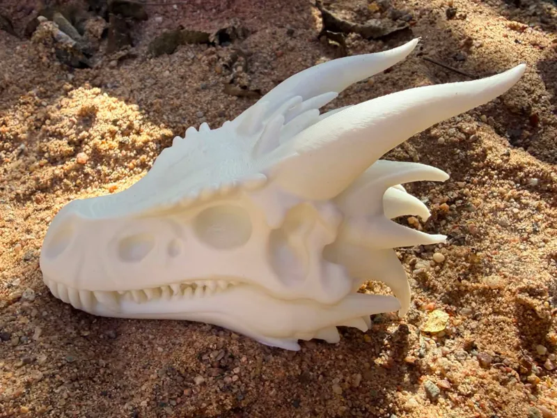 Dragon skull, fantasy dragon