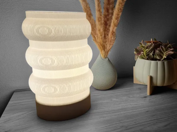 https://makerworld.bblmw.com/makerworld/model/US7cd79fade61135/design/2025-01-21_2da6246852a4b.jpg