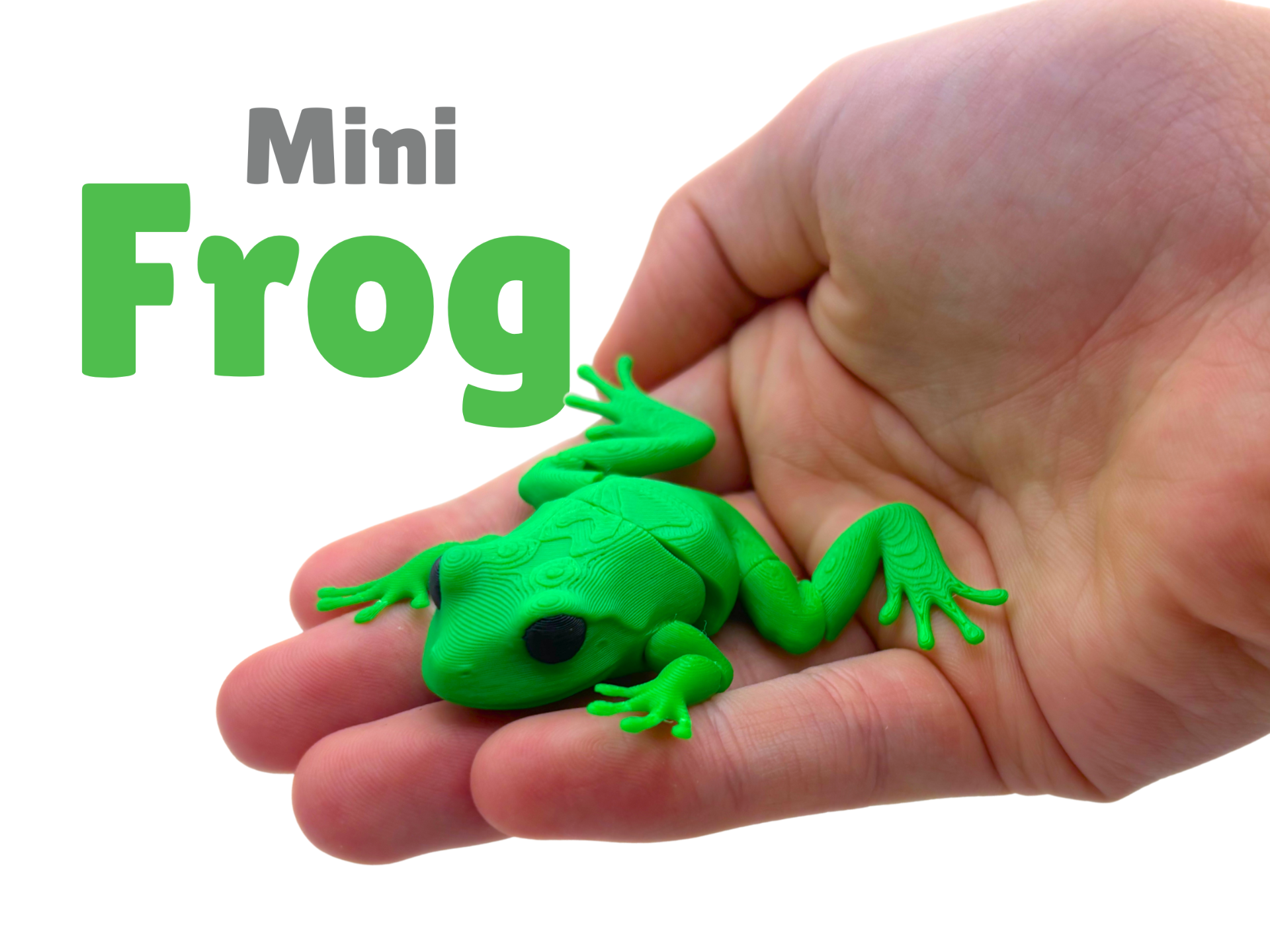 Mini Articulated Frog