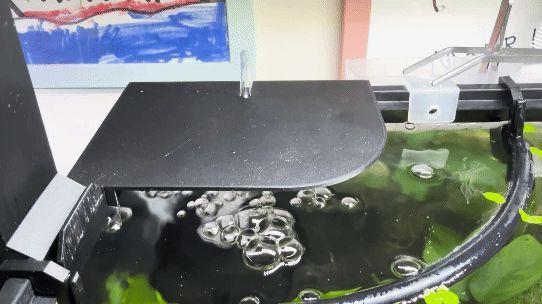 Sponge filter cover for 10 gallon rimmed tanks
