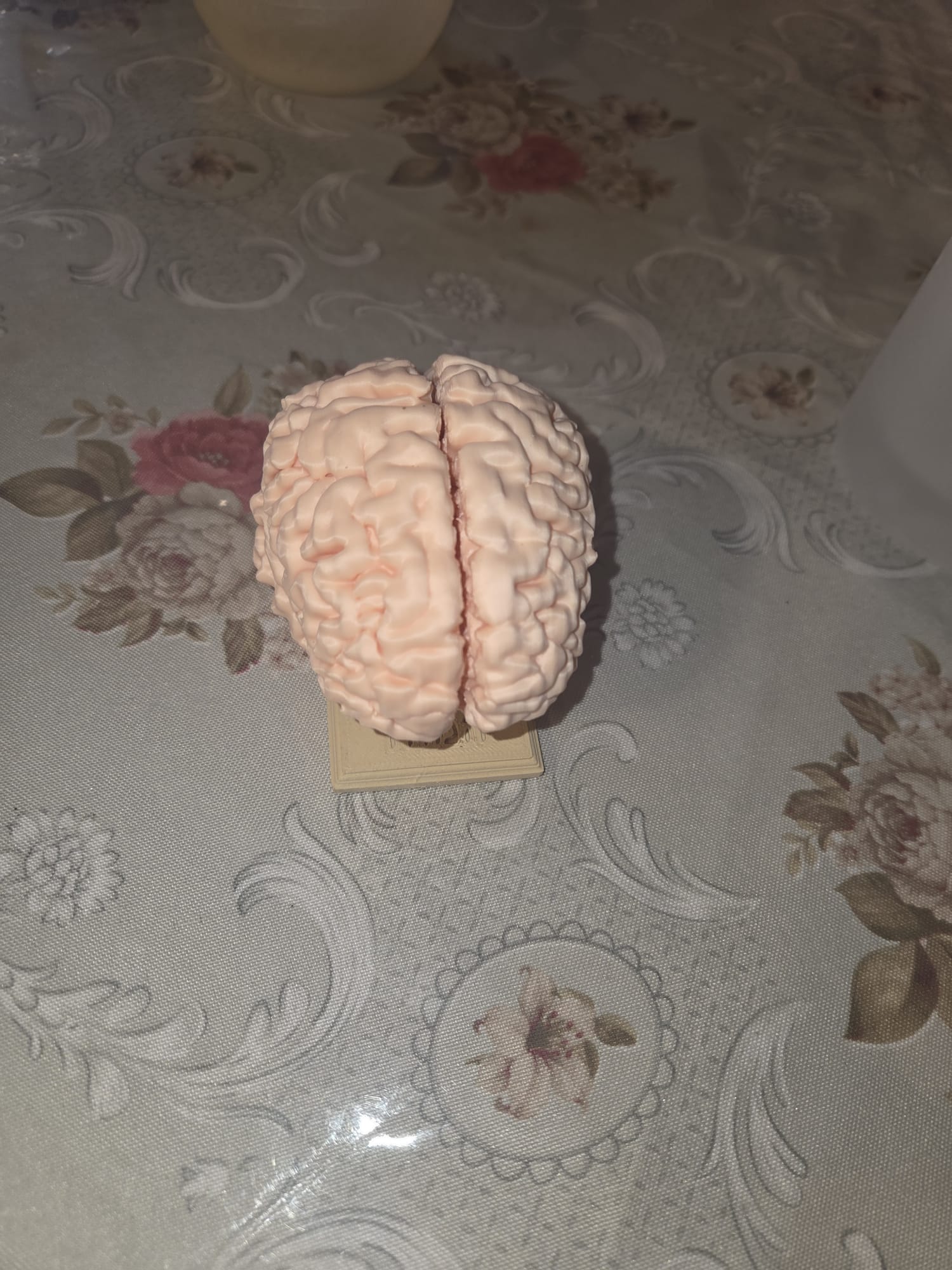 Miniatura 6 do modelo 3D Full-size human brain