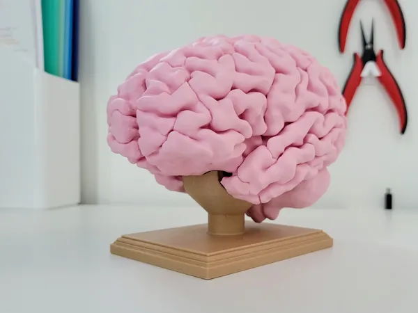 https://makerworld.bblmw.com/makerworld/model/US7ce165cdca8359/design/2023-10-23_6cdygloj9qq9.jpg