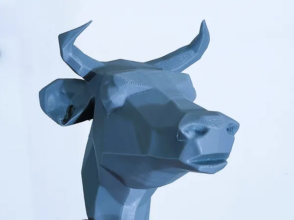 https://makerworld.bblmw.com/makerworld/model/US7ce20867f5973a/design/b28aa2e1e3f91d21.jpg
