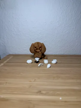 Modelo para impresión 3D: Strick-King Charles — vista de referencia 3