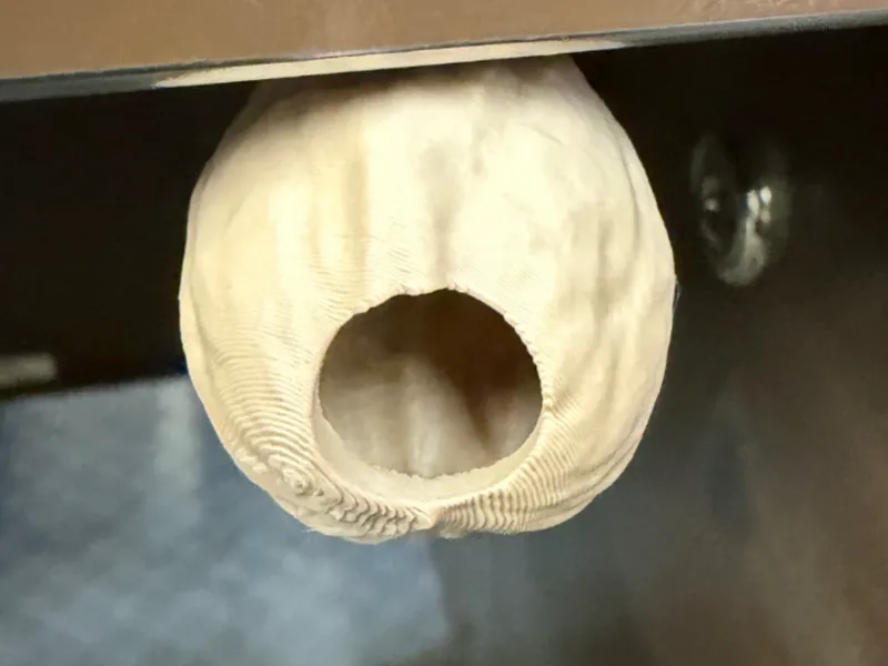 WALNUT HIDE