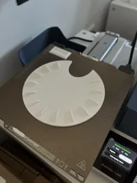 Scaled down for A1 mini, 0.2mm layer, 2 walls, 8% infill