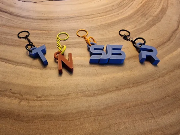 https://makerworld.bblmw.com/makerworld/model/US7cedc275e5db2b/design/2025-01-30_25d903815d49c.jpg