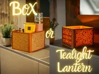 Organizer Box