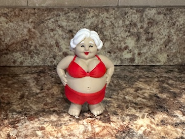 Mrs Claus bikini