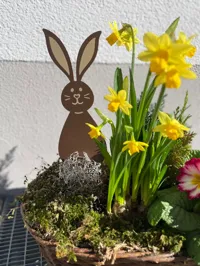 H2D 2 Colours 0.2mm layer, 2 walls, 15% infill