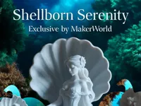 Shellborn Serenity — photo 2
