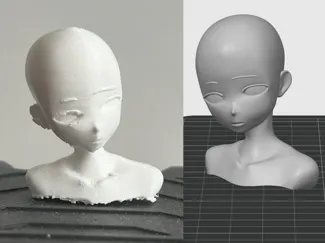 Anime Head Base