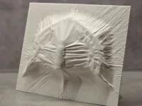 0.2mm layer, 3 walls, 1% infill