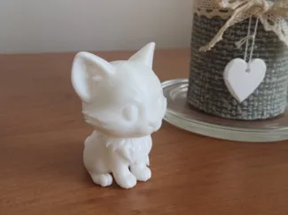 Cute kitten