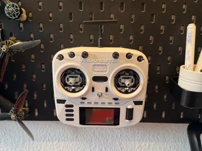 Minimalist Radiomaster Boxer Skadis Mount