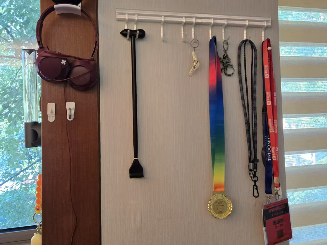 Rail Hook System