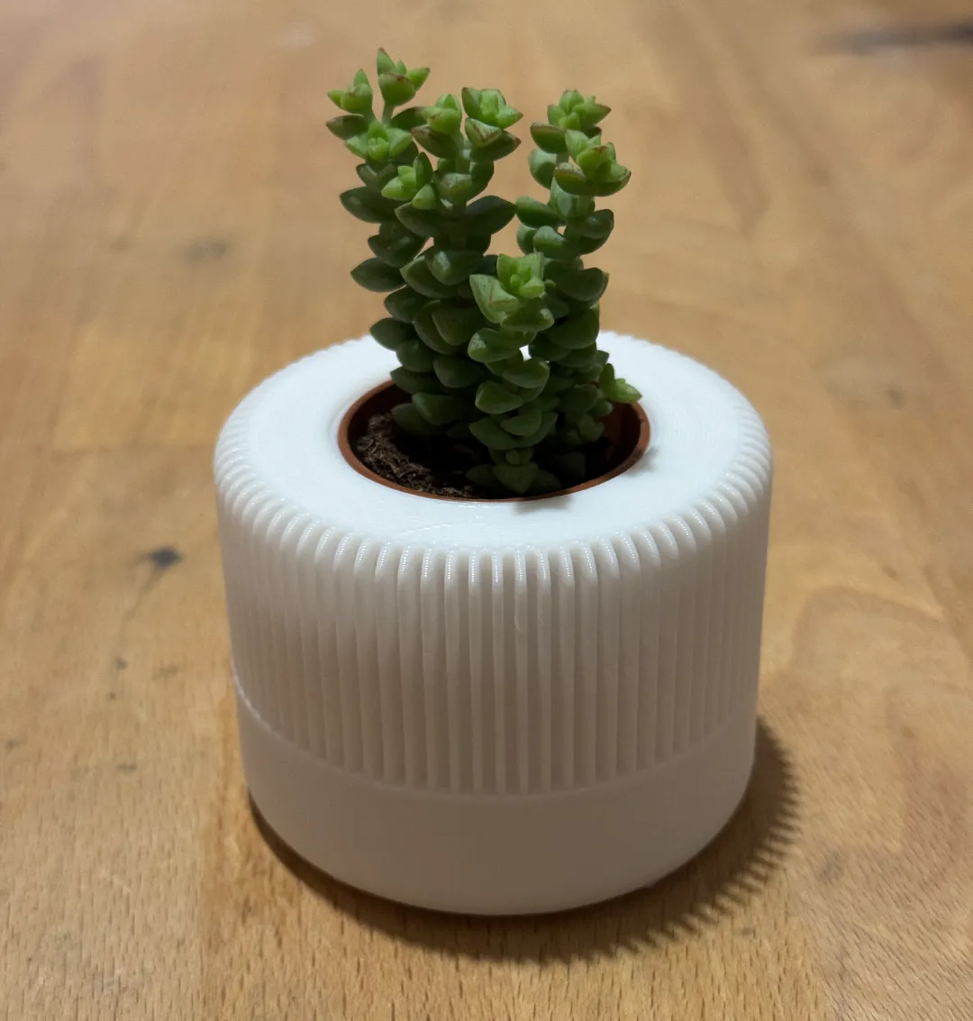 Petit vase moderne pour plante grasse