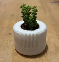 Petit vase moderne pour plante grasse — photo 1