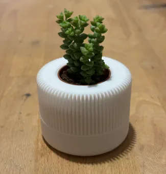 Modern quick little vase