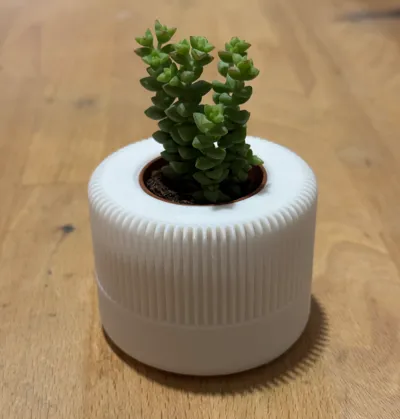 Modern quick little vase