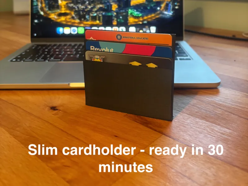 Slim light cardholder