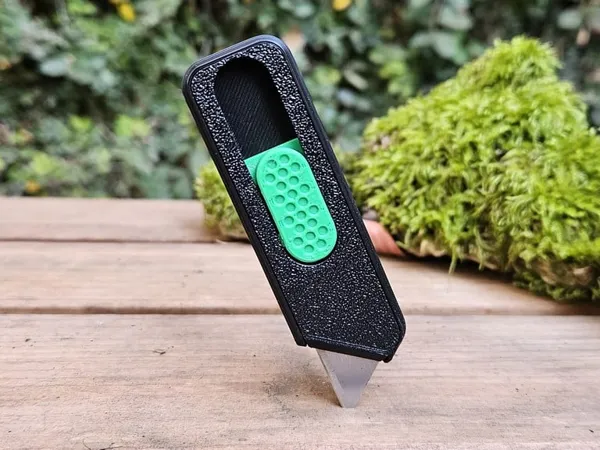 https://makerworld.bblmw.com/makerworld/model/US7d1299c2e4b334/design/2024-12-24_72f6b03ece1fa.jpg