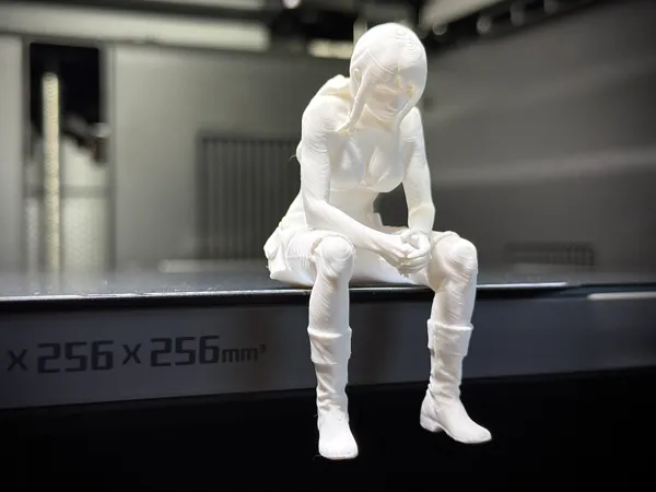 https://makerworld.bblmw.com/makerworld/model/US7d1865ccb1f55c/design/3402194f079d9105.jpg
