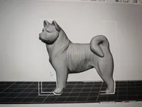 Akita américain — photo 2