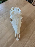 Lineage BAS Graphic Skull - 100% Scale