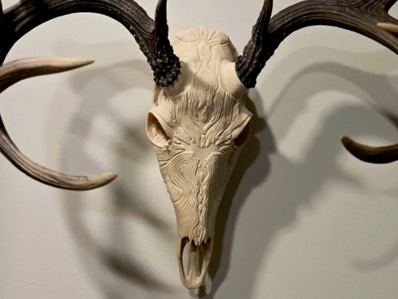 Graphic Deer Skull "Lineage" - BAS Antler Mount