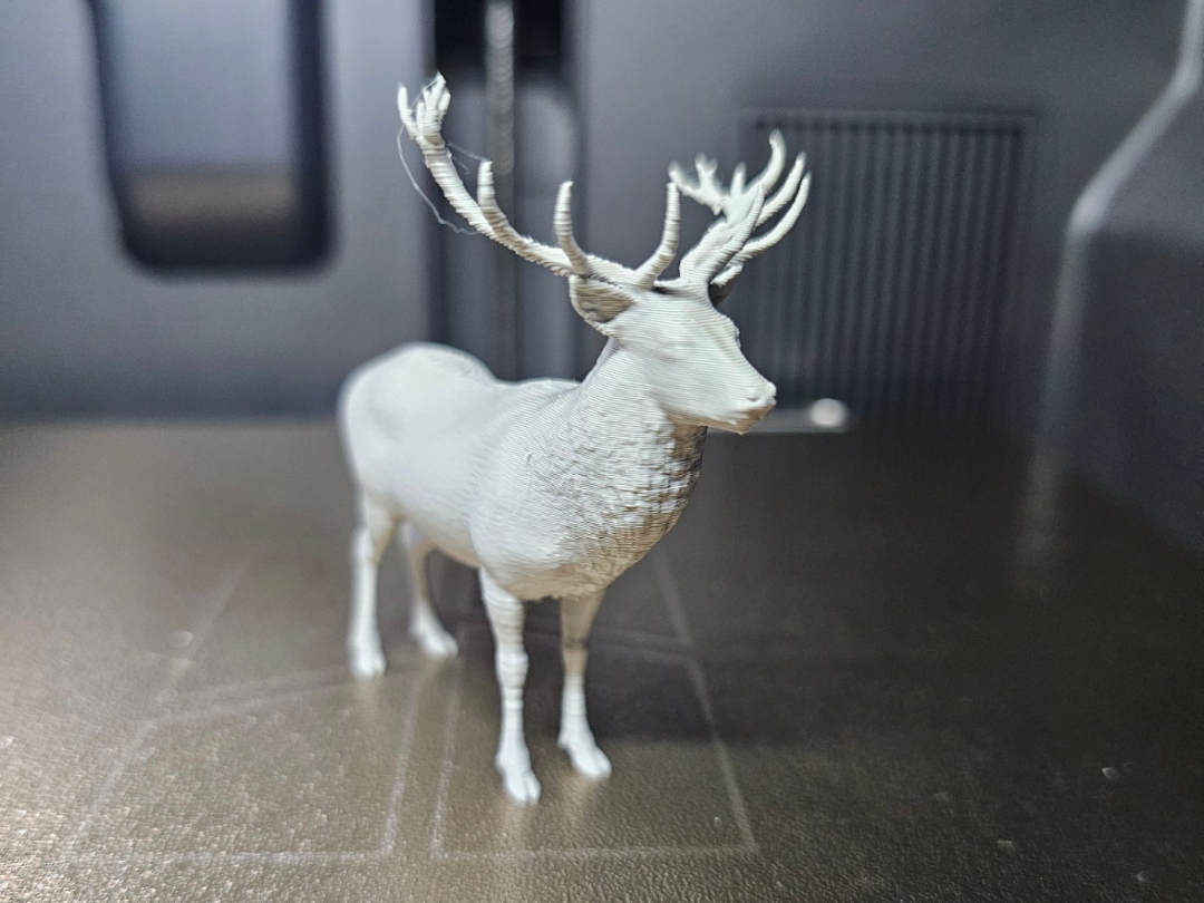 Hirsch - Tiere aus aller Welt