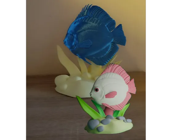 Discus - Tropical Fish Collection 02 - Free 3D Print Model - MakerWorld