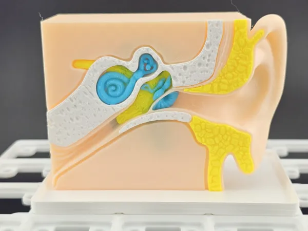 https://makerworld.bblmw.com/makerworld/model/US7d20ea114eb7ac/design/2025-10-08_4e86e7e53b218.jpg