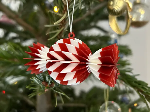https://makerworld.bblmw.com/makerworld/model/US7d2370a9b426f5/design/2025-12-23_bbd6c6f0e6d48.png