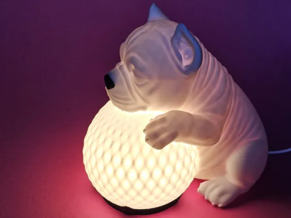 https://makerworld.bblmw.com/makerworld/model/US7d27b0e2b7c6a0/design/2025-08-24_166f5f11402e28.jpg