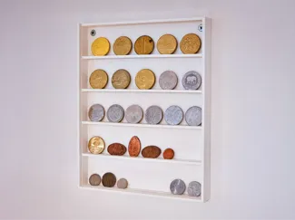 Collectible Coin Display Frame (Wall Mounted)