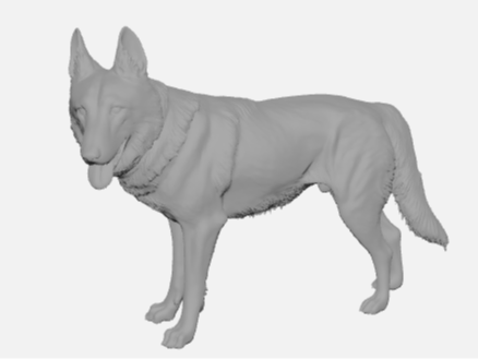 Dog/wolf mix 
