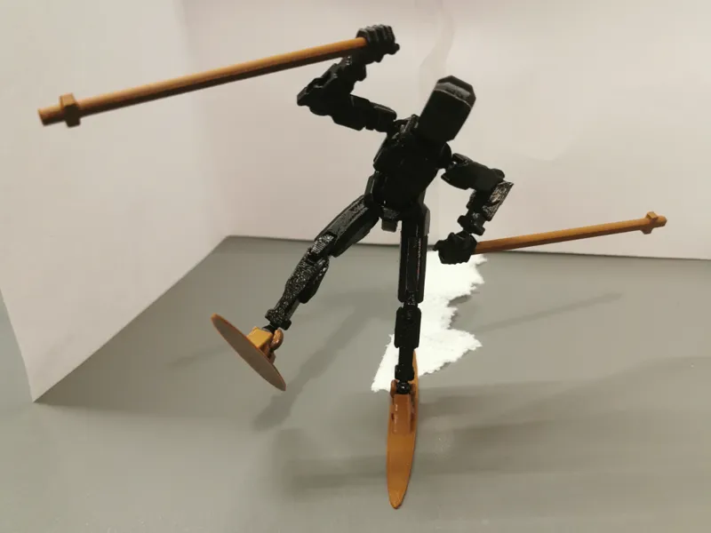 Skii and Skii pole for your dummy 13