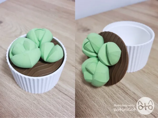 https://makerworld.bblmw.com/makerworld/model/US7d2ca00a835947/design/2025-02-02_d7f108c819ee3.png