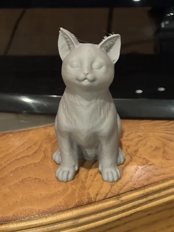 https://makerworld.bblmw.com/makerworld/model/US7d2e3c81a11128/design/2024-03-27_prbt59sfhd4k.jpg