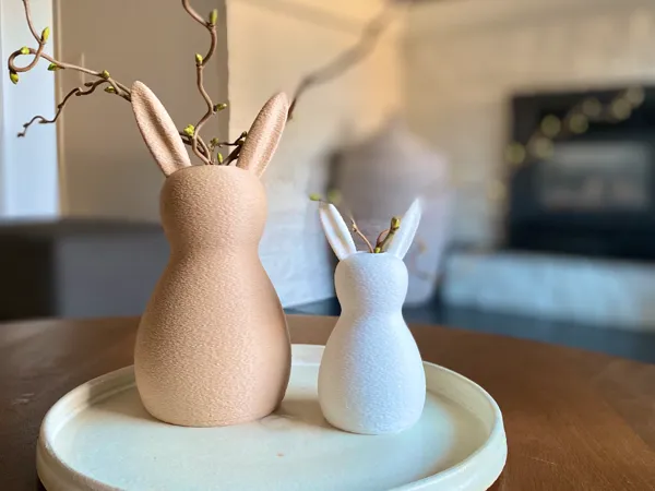 https://makerworld.bblmw.com/makerworld/model/US7d339e58bc8a3b/design/2025-03-07_d810ec0b450e5.jpg