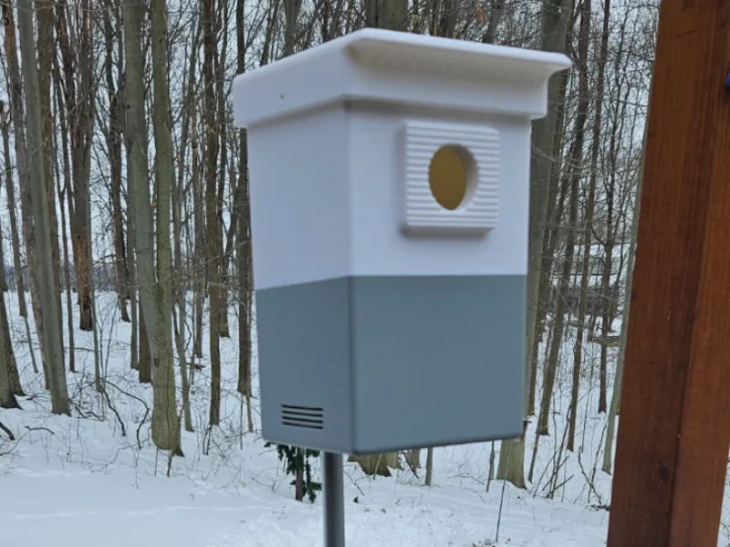 Bird House 