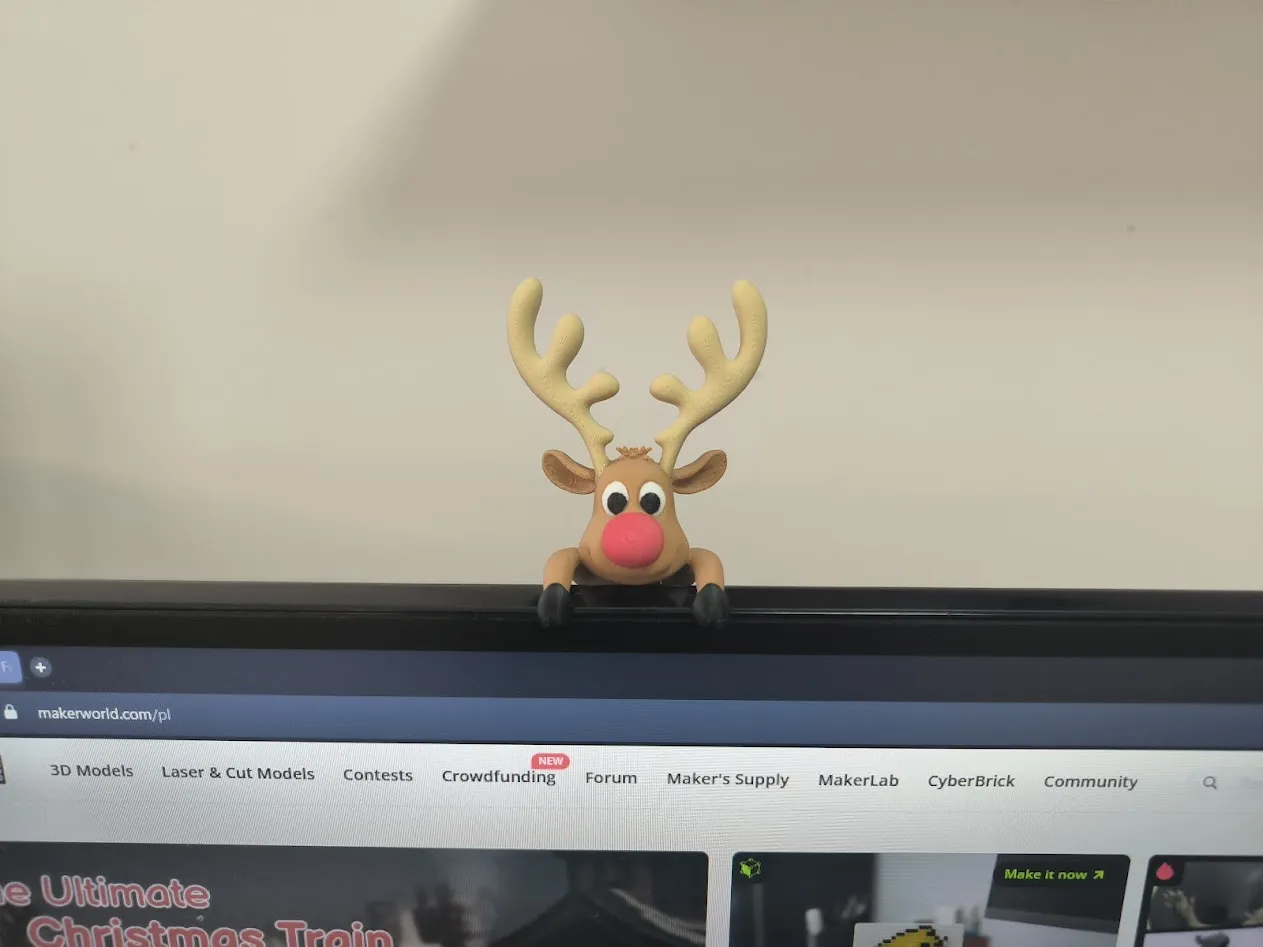 Monitor Rudolf view 2