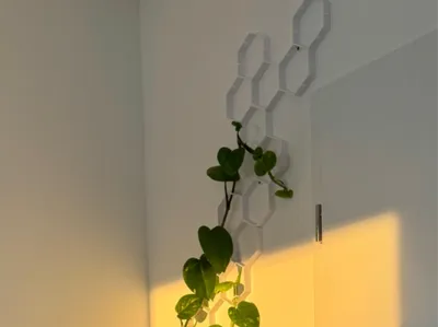 Trellis & Wall-Mount System expansion