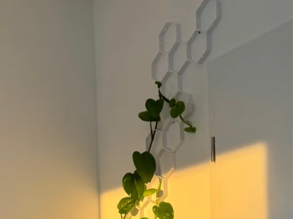 https://makerworld.bblmw.com/makerworld/model/US7d37141364bec7/design/7f1c496b5579cd9f.jpg