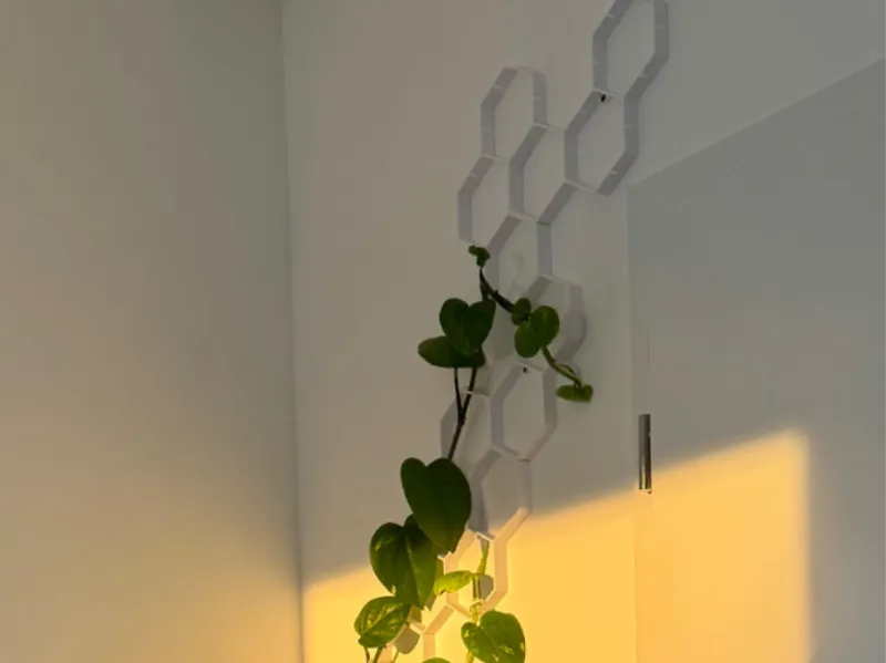 Trellis & Wall-Mount System expansion