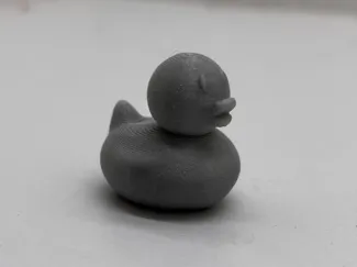 Mini rubber duck