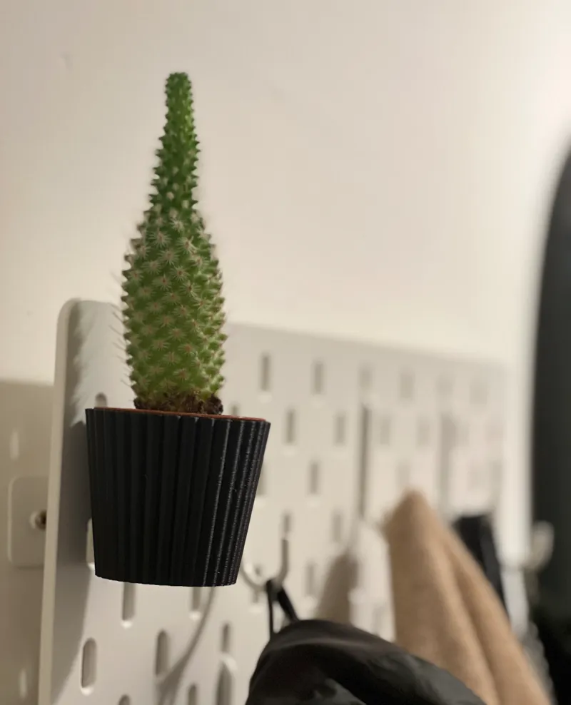 Ikea Skadis Cactaceae Cactus Holder