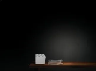 Pen/Pencil Orginazer